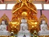 DSCN1560