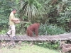 20170406_144828